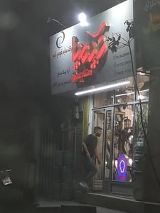 صنایع برق پارسیان