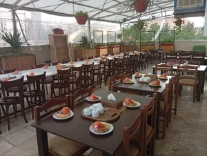 مجموع غذایی برگ زیتون 5