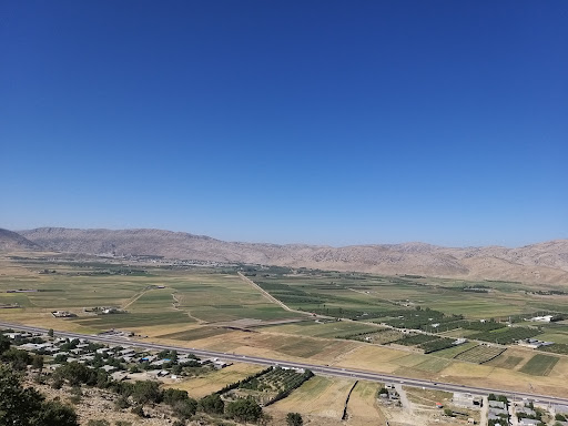 بنگاه املاک دشت روم (رشیدی)