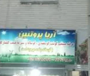 آریا پروتئین