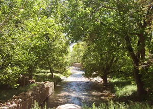 فسارود ، اقلید