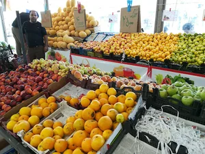 میوه فروشی عبدالحسینی