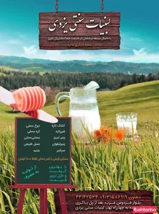 لبنیات سنتی یزدی 5