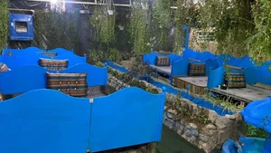 باغچه سبز 3