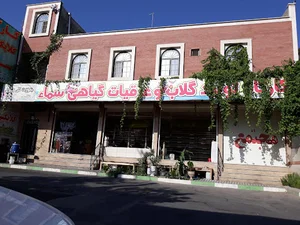 گلابگیری سماء