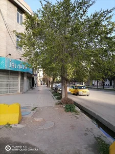 باشگاه ورزشی کودک تک 2