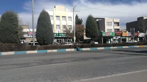 گیاهان دارویی آدونیس