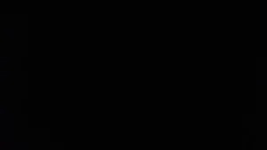 خدمات پوشاک گلریز