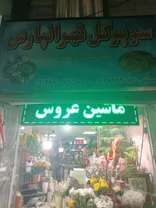 سوپر گل تهرانپارس 4