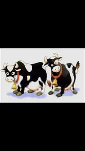 دامداری طالبی