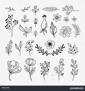 گل فروشی یاس کبود