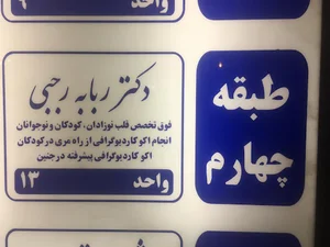 دکتر ربابه رجبی