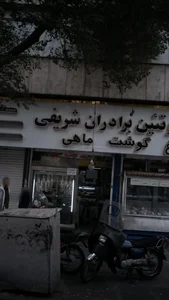 پروتئین برادران شریفی 2