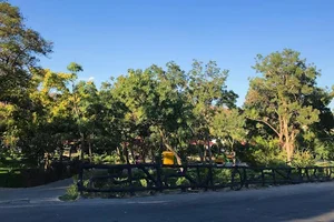 بوستان بوفه شمس تبریزی 4