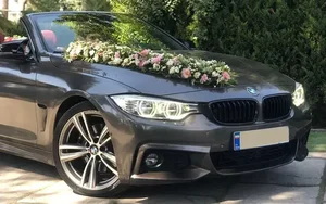 موسسه اتومبیل کرایه