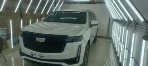 تشخیص رنگ پرتو 2