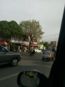 پرنده فروشی حاج قدم