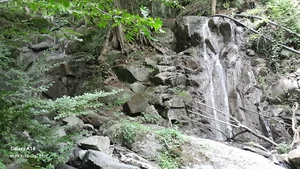 خواربارفروشی سعید