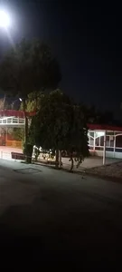 تالار سعید (باغ بهشتی) 2