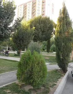 پارک بنفشه 5