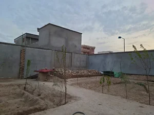 خانه روان شاد جاوید نصیر مرادی