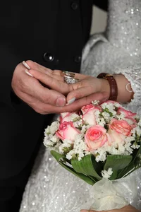 آتلیه عکس و فیلم شاپرک