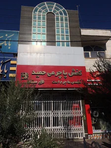 كفش پاچرمى حميد
