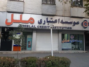 موسسه اعتباری ملل
