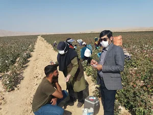 مرکز بهداشت فسا