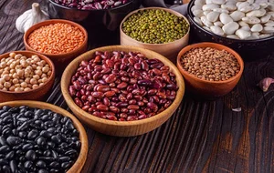 حبوبات شعبان