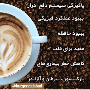برگر دلشاد 4