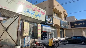 تهیه غذای آماده شهر سبز 5