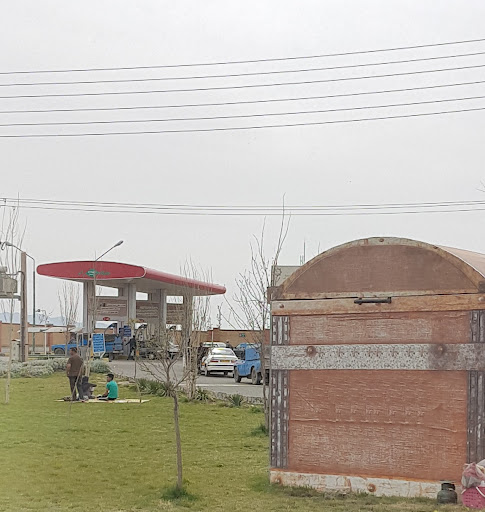 جایگاه گاز CNG زائر