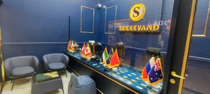 سکه وند 2