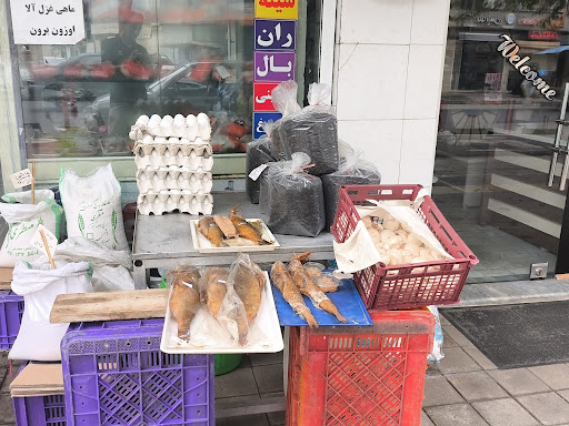 مرغ و ماهی هادی