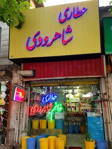عطاری خانم شاهرودی