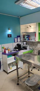 بیمارستان شبانه روزی دامپزشکی آفتاب