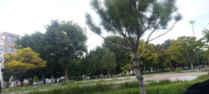 پارک اندیشه 2