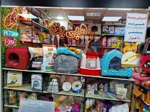 آکواریوم ماهینو