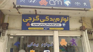 گرجی