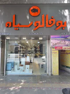 بوفالو سیاه