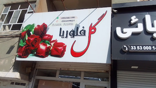 گل فلوریا