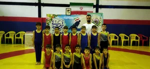 ژیمناستیک نجفی