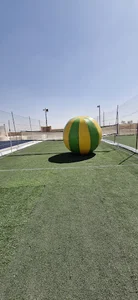 مجتمع تفریحی دوپامین