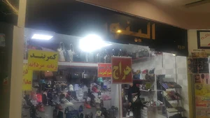 کیف و کفش الینور