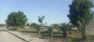 پارک 2