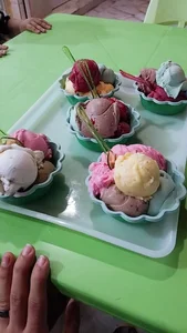 بستنی نخل 2
