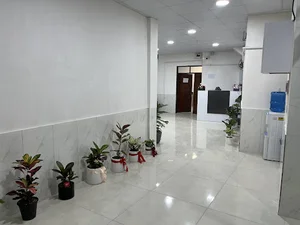 سونوگرافی دکتر فائزه سازگارا.