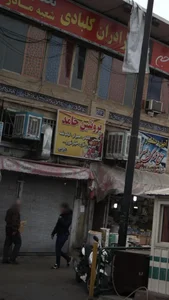 پروتئین حامد 2