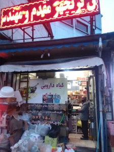 گیاه دارویی شفا سنگر